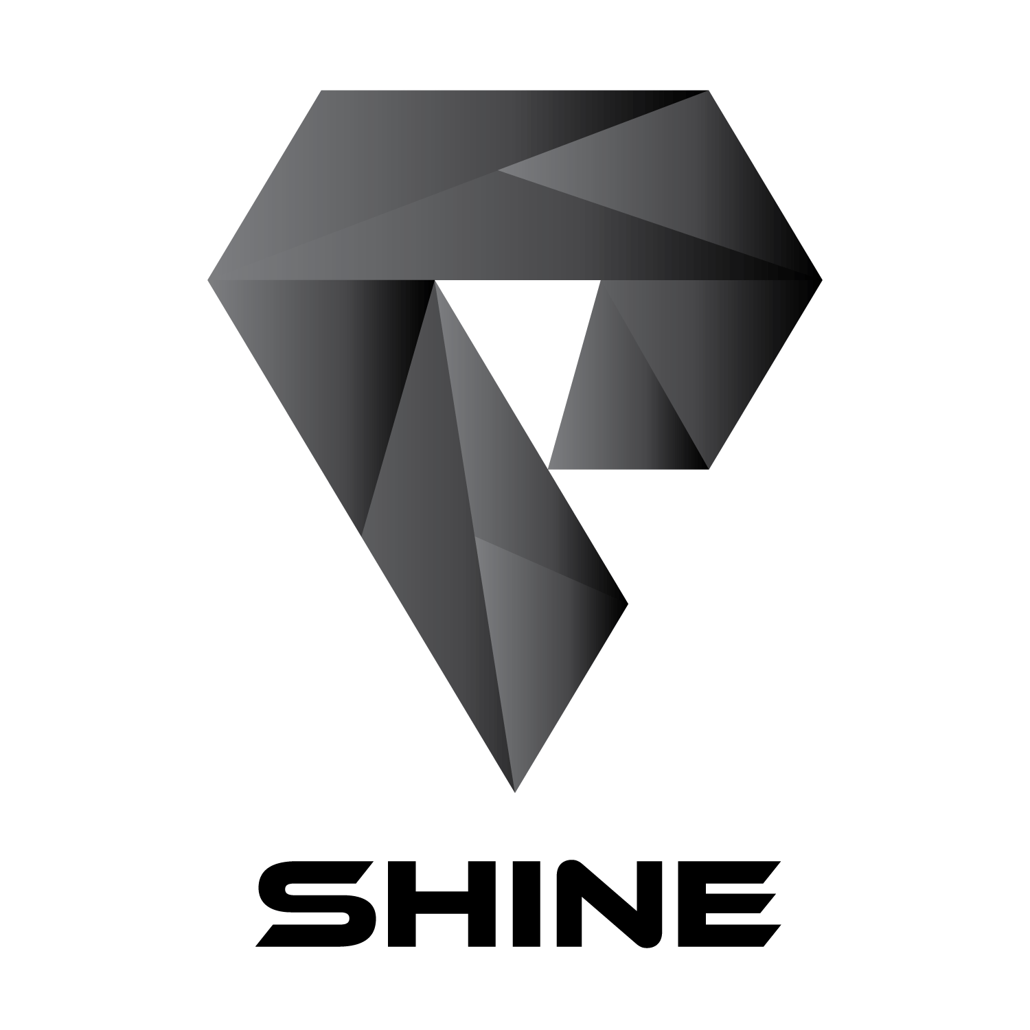 Logo partenaire Shine Group